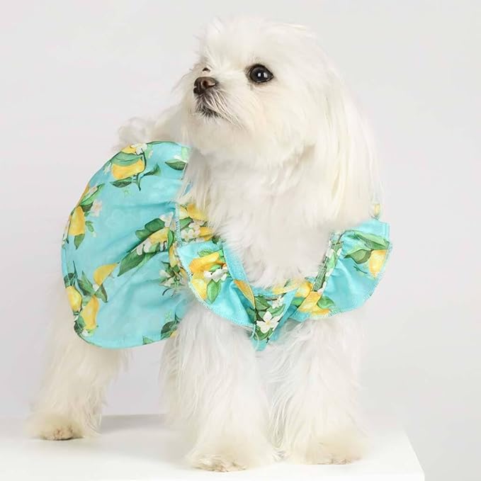 Fitwarm Lemon Dog Dress, Dog Clothes for Small Dogs Girl, Pet Cat Apparel, Teal Blue, Yellow, Green, Small