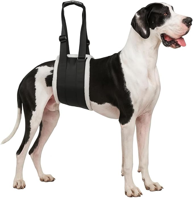 Adjustable Dog Lift Harness – Rear Leg Support Sling for Extra-Large Dogs | Mobility Aid for Senior, Injured & Post-Surgery Pets, ACL Surgery Dogs | Soft, Durable & Comfortable