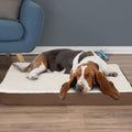 PETMAKER Orthopedic Brown Sherpa Top Pet Bed with Memory Foam and Removable Cover, 36" L X 27" W X 4" H, Medium