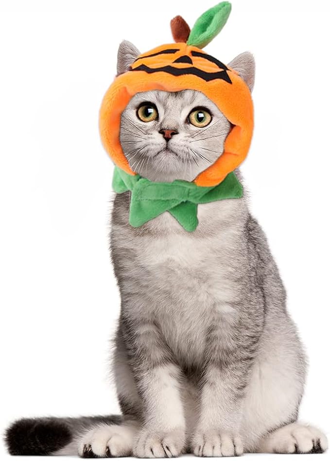 Cat Halloween Hat Small Dogs Pumpkin Costume Pet Party Hat