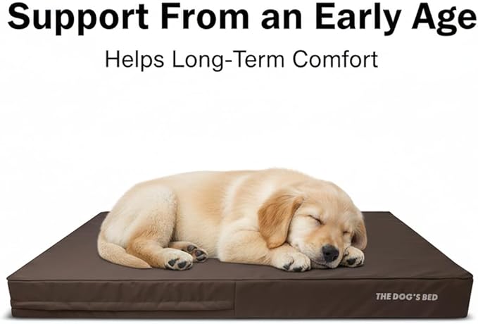 The Dog’s Bed Orthopedic Memory Foam Dog Bed for XXXL Dogs, Waterproof Washable Cover, Anti-Slip Base, Calming Surface – CertiPUR-Certified Foam, Brown with Brown Trim, 6 Inch Thick