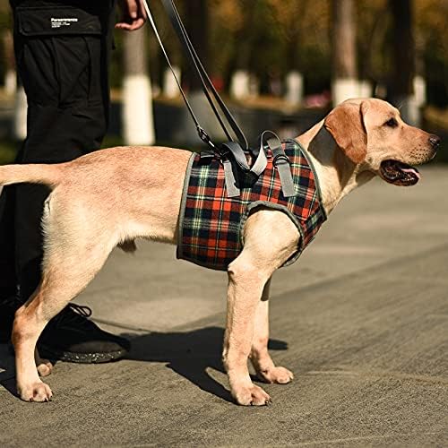 ROZKITCH Dog Lift Harness, Grid Pet Chest Support Aid Veterinarian Approved Sling for Old K9 Help with Poor Stability, Front Legs Disabled Joint Injury Elderly Arthritis ACL Rehabilitation Rehab