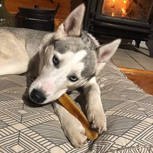 Yeti Dog Chew - Yak Cheese Himalayan Dog Chews - Healthy Long Lasting - Yak Chews for Large, Medium and Small Dogs - Yak Bones for Dogs - Natural Yak Cheese Dog Chews - XL, 5.5 oz