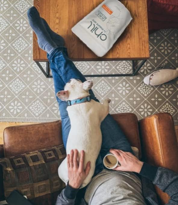 CHILL Bites Calming Dog Treats for Relaxation, Made with Sweet Potato, Valerian Root, & Melatonin for Dogs