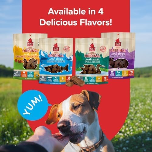 PLATO Pet Treats Real Strips - Air-Dried Meat Bars for Dogs - Delicious, Limited Ingredient Dog Treats - Grain Free Dog Treats - Original Real Strips Salmon 18oz - 2 Pack
