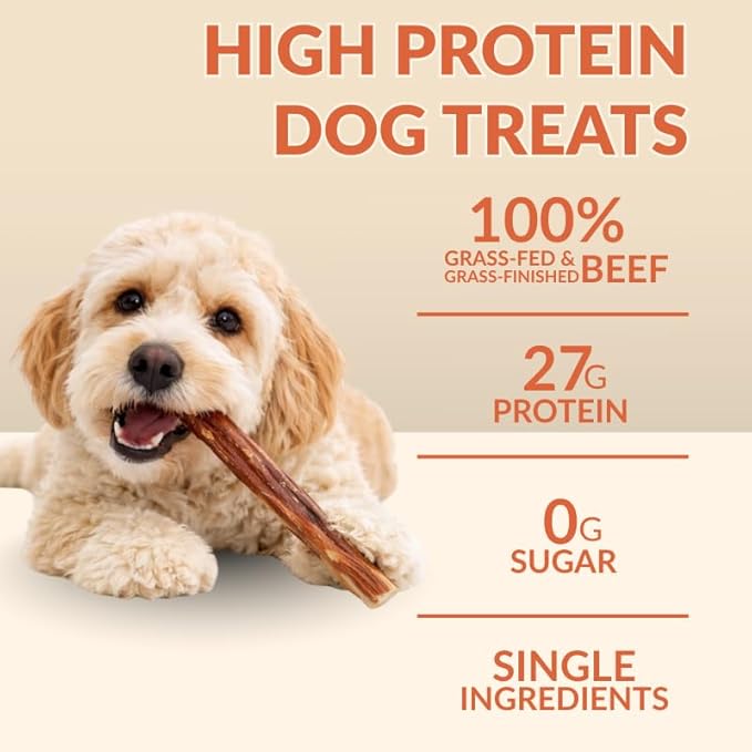 Bully Sticks (6 Inch-20 Pack) | European Quality | Single Ingredient Beef Pizzle Dog Chews | Long Lasting Rawhide Alternative | Small to Medium Dogs