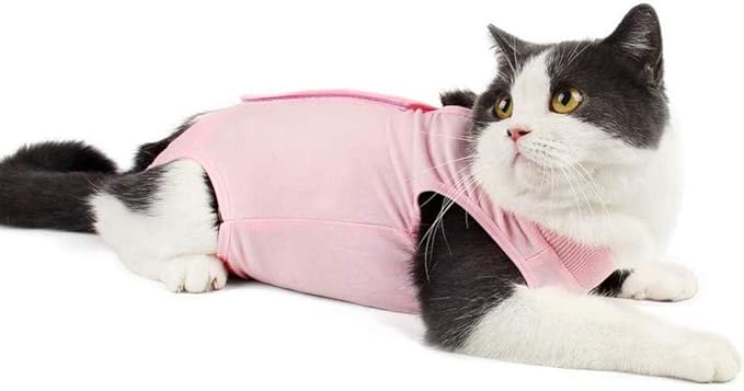 Cat Recovery Suit for Abdominal Wounds or Skin Diseases, Breathable Cat Surgery Recovery Suit E-Collar Alternative for Cats, After Surgery Wear Surgical Suit for Cats Anti Licking Wounds