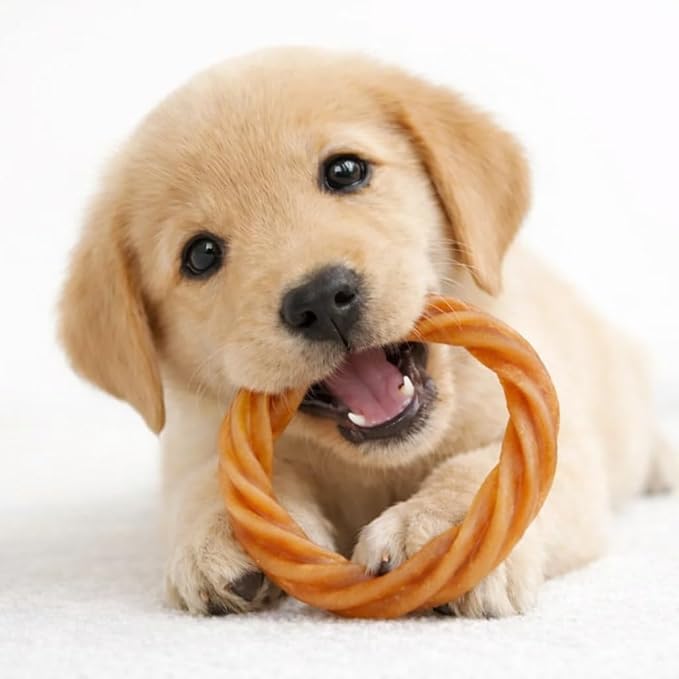 No Rawhide Puppy Teething Rings – Highly Digestible Rawhide Alternative Chews (8 Rings, Pumpkin & Sweet Potato)