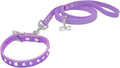 Dogs Kingdom 10 "-16.5" Total Length Suede Skin Jeweled Rhinestones Pet Dog Collar Leash Set Sparkly Crystal Diamonds Studded Leather Puppy Dog Cat Collar Leash Set Purple XXS