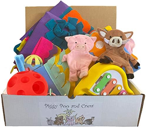 Piggy Poo and Crew Pig Box - Pet Box - Bundle of Toys Gift Box