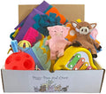 Piggy Poo and Crew Pig Box - Pet Box - Bundle of Toys Gift Box