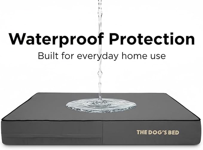 The Dog’s Bed Orthopedic Memory Foam Dog Bed for XXL Dogs, Waterproof Washable Cover, Anti-Slip Base, Calming Surface – CertiPUR-Certified Foam, Grey with Black Trim, 6 Inch Thick