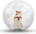 Hamster Exercise Ball Silent Hamster Wheel Small Animals Transparent Ball for Dwar Rat Relieves Boredom and Increases Activity (4.8 inch, Clear)