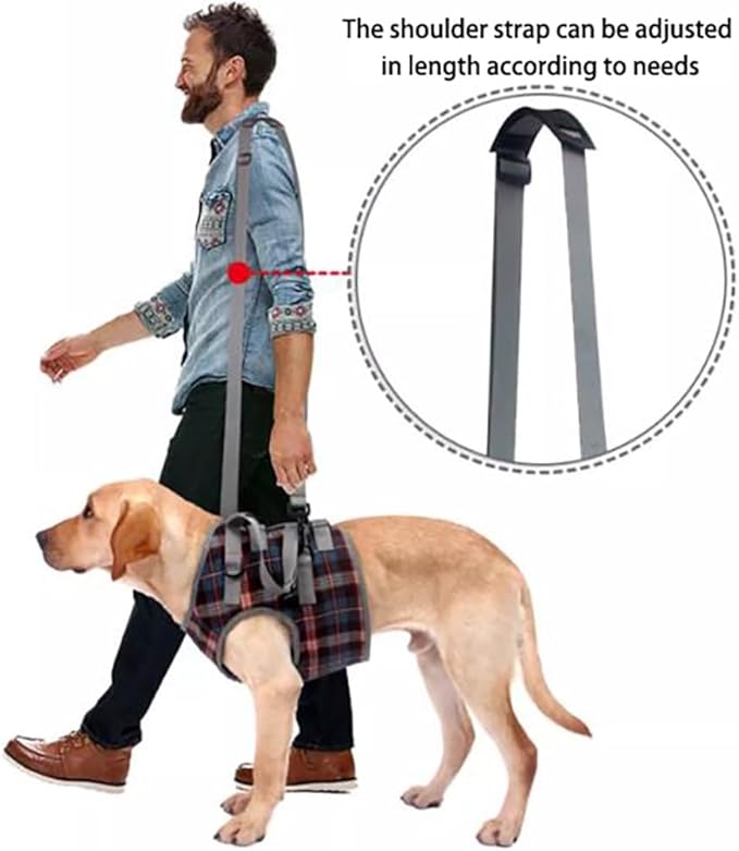 Dog Lift Harness with Handle – Adjustable Pet Support Sling for Rear Legs & HIPS, Padded Detachable Handle, Senior Dog Mobility Aid & Post-Surgery Walking Help(Front Legs Blue,L)