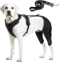 Dog Hip Brace, Dysplasia Brace for Dogs, Mild Torn ACL Leg Support, Adjustable Dog Leg Brace, Breathable, for Arthritis, Stiffness & Swelling, Knee Instability & Mobility Comfort, senior mobility (L)