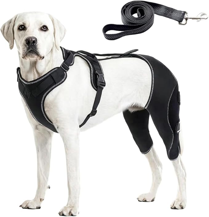 Dog Hip Brace, Dysplasia Brace for Dogs, Mild Torn ACL Leg Support, Adjustable Dog Leg Brace, Breathable, for Arthritis, Stiffness & Swelling, Knee Instability & Mobility Comfort, senior mobility (L)