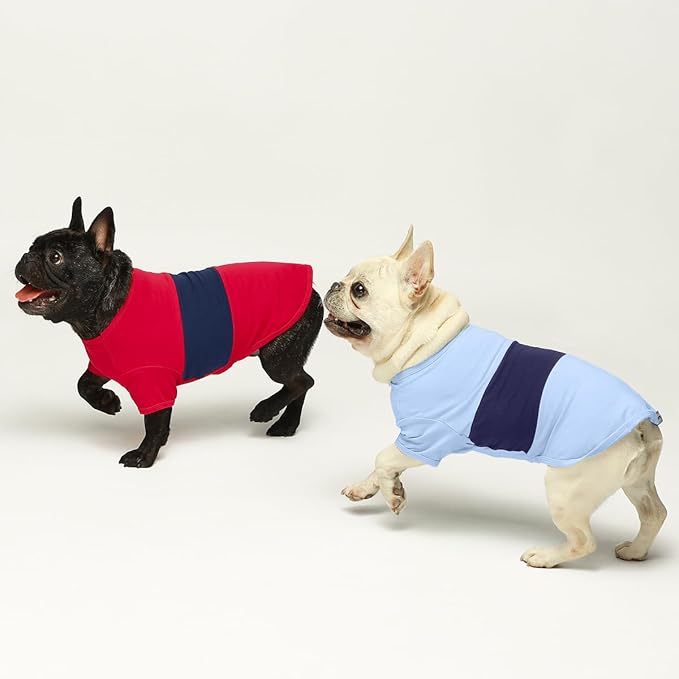 Fitwarm 3 Pack Color Block Striped Dog Shirt, Summer Dog Clothes for Small Dogs, Breathable Lightweight Pet Tshirt with Sleeves, Cat Outfit, Red, Blue, Grey