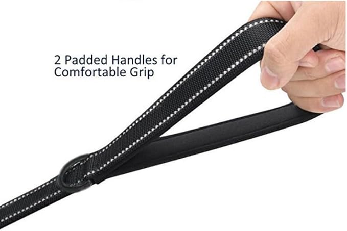 Heavy Duty Dog Leash - 2 Handles by Padded Traffic Handle for Extra Control, 6foot Long - Perfect for Medium to Large Dogs (6 ft, Black Red)