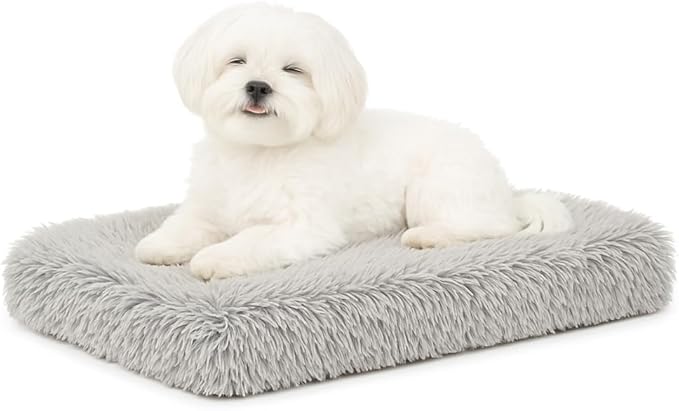 Dog Bed, pet beds (Small) - Premium Quality, Washable & Portable, Eco-Friendly, Multiple Sizes, Stylish Design, Removable Cover, Size Small(15.75 X 11.81 X 2) inch