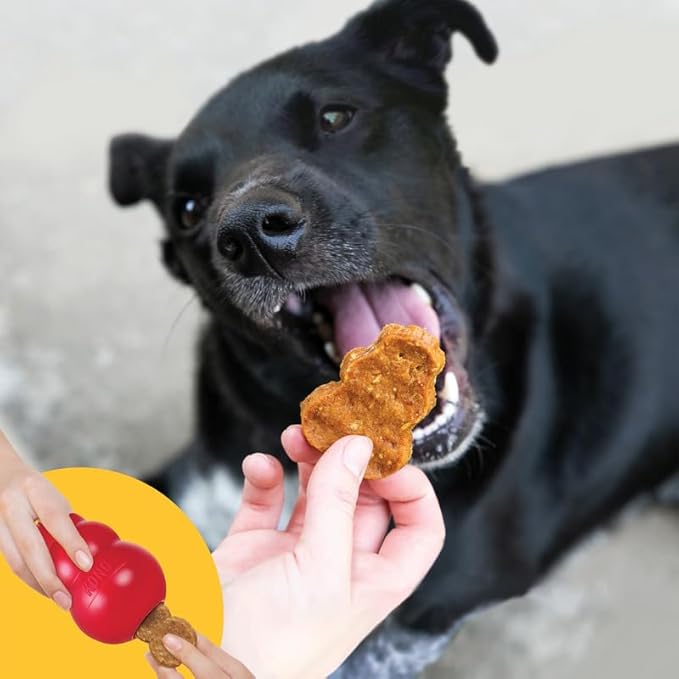 KONG All Natural Chicken Recipe Jerky Dog Treats for Training and Rewarding (2 Pack (Medium/Large))