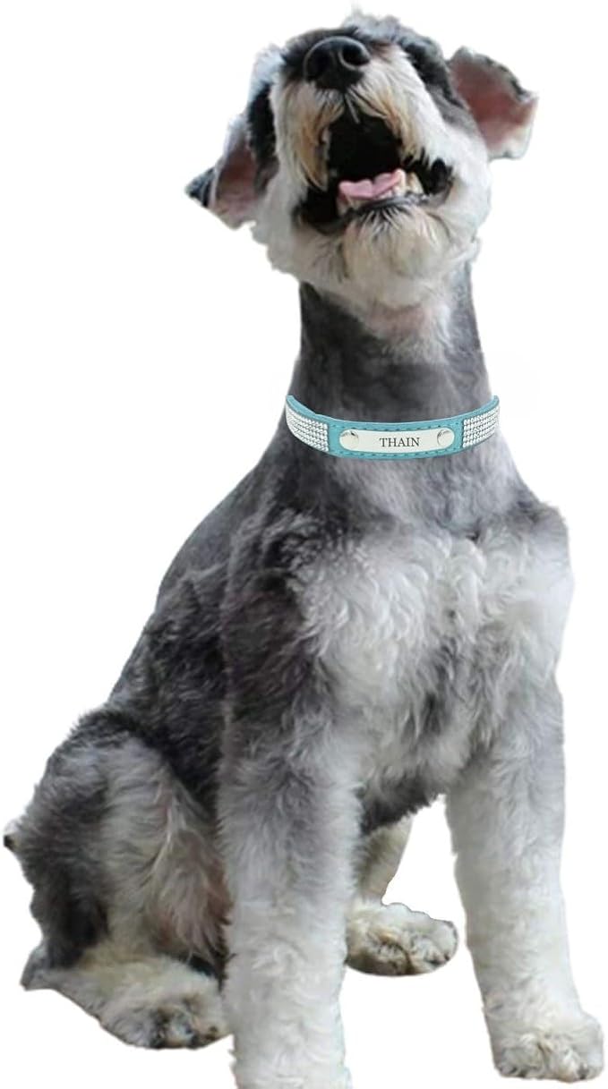 THAIN Rhinestones Personalized Dog Cat Collar Bling Diamond with Engraved Stainless Steel Nameplate for Small Medium Large Dogs (Light Blue, S)