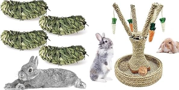 Hamiledyi Bunny Chew Toys Rabbit Rattan Grass Scratcher Climbing Tree Fun Tree Carrot Play Toys 10 Pcs Rabbit Chew Ball Timothy Grass Ball Small Animal Activity Play Chew Toys Teeth Grinding