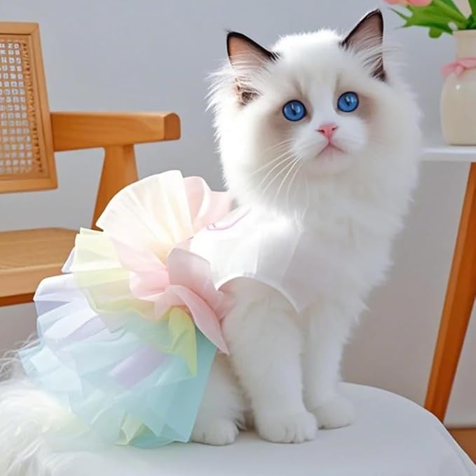 ANIAC Happy 1st Easter Dog Dress Girl Holiday Puppy Clothes for Small Dog Easter Cat Outfit Eggs Print Rainbow Doggy Princess Tutu Dress Pet Clothing (Medium)