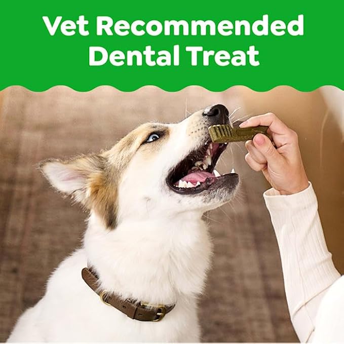 Greenies Dental Bone Dog Treat Sweet Potato Large 12oz