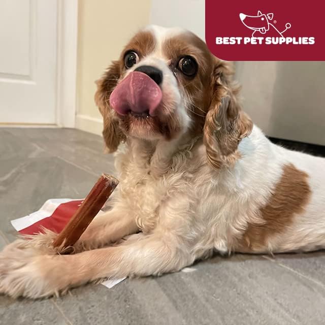 GigaBite Bully Sticks for Dogs All Natural Beef Pizzle Dog Chews, Odor & Rawhide Free Dog Treats, Long Lasting High Protein Chews Digestible Dental Dog Treat - Sticks (Monstrous 12"), Pack of 4