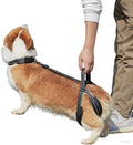 New Upgraded Dog Hind Leg Support Harness, Rear Leg Support Harness - Mobility Aid for Disabled & Paralyzed Pets, Rehabilitation Sling for Hind Leg Assistance (Medium)