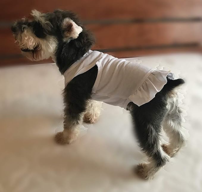 Pet Clothes Small Dog Clothing Blank Color Sport Dress T-Shirts Tee Dresses Tanks Top for Small Size Female Dogs Summer Spring Pet Costumes 100% Cotton (M, White)