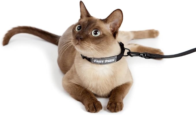Metal Free Airport Travel Collar Leash Set Designed for Small Pets who fit Under seat of Airplane Metal Free to Speed up The Airport TSA Inspection Process (Large 11-14 inch)