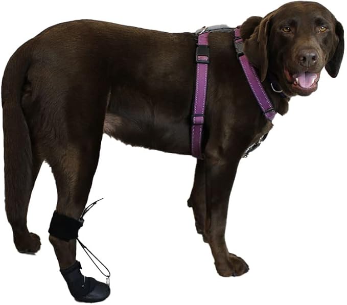 WALKABOUT™ Toe'sUP No Knuckling Boot Brace for Dogs Dragging Paws | Corrective Dog Shoes to Safely Lift Toes