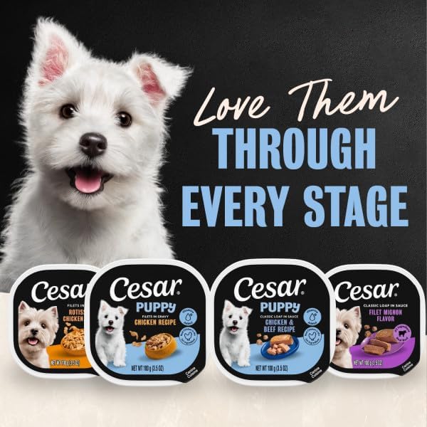 Cesar Puppy Classic Loaf in Sauce Wet Dog Food, Chicken & Beef Recipe, 3.5 oz. Easy Peel Trays, Dog Food Toppers, 24 Count