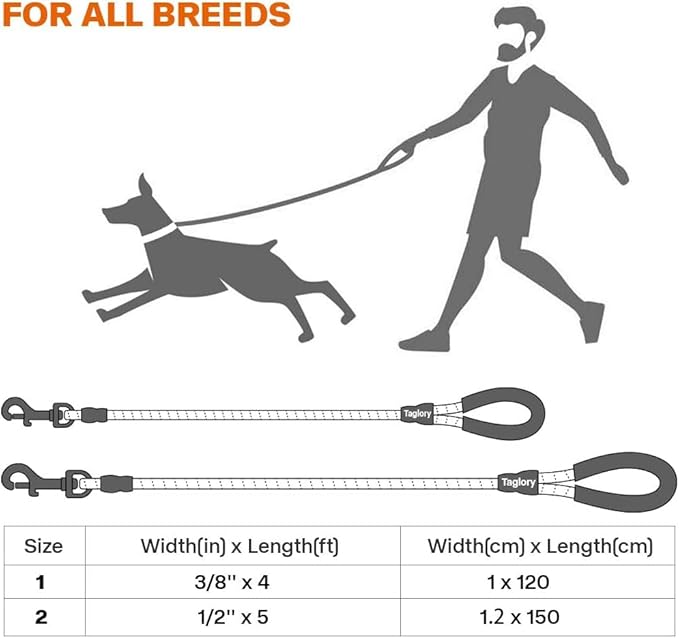 Taglory Rope Dog Leash 5 FT with Comfortable Padded Handle, Highly Reflective Threads Leash and Anti-Tangle Clip for Walking Medium Large Dogs, 1/2 inch, Blue