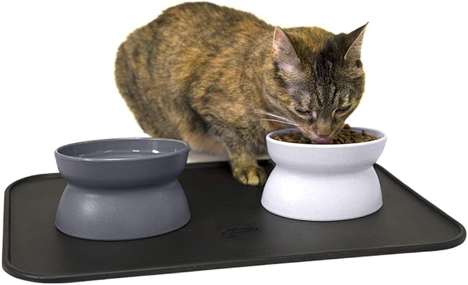 Kitty City Raised Cat Food Bowls and Mat Kit, Each Holds 6.5 Ounces- Pet Bowl for Dogs Cats and Pets, Model Number: CM-0297-CS01