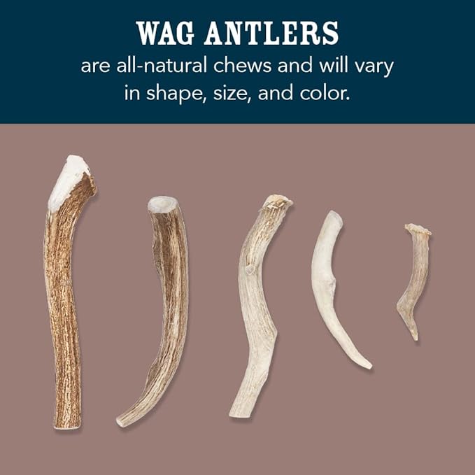 Amazon Brand - Wag Dog Deer Antler Chew, Naturally Shed. Whole, Small, Long Lasting for Aggressive Chewers, Best for Dogs under 15 lbs, 4 - 5.5 inches
