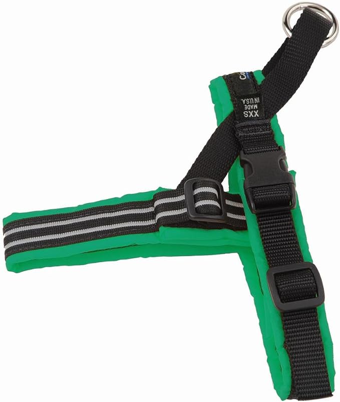 ComfortFlex Sport Dog Harness – No-Choke, Fully Padded, Non-Chafing Harness with Control Handle – Reflective, Lightweight, Adjustable for Active Dogs - Petite, Kelly Green