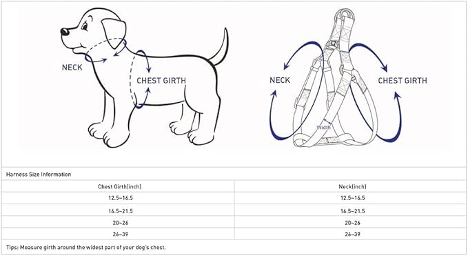 Blueberry Pet Essentials Matching Dog Collar Leash Harness Set in Verdant Green, Adjustable Classic Solid Color Nylon Collar with Harness & 5 ft Leash for Medium Dogs