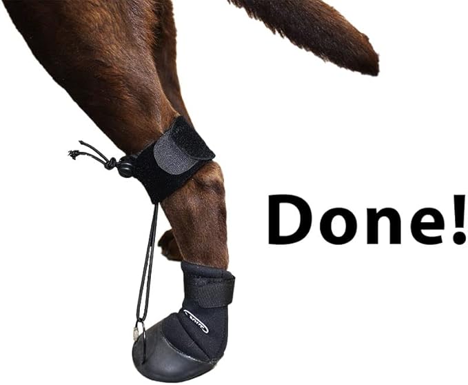 WALKABOUT™ Toe'sUP No Knuckling Boot Brace for Dogs Dragging Paws | Corrective Dog Shoes to Safely Lift Toes