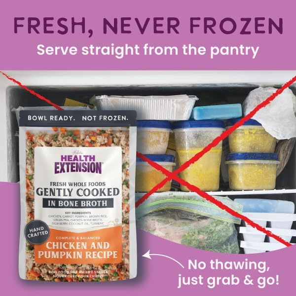 Health Extension Gently Cooked Dog Food Variety Pack – Chicken & Pumpkin, Beef & Potato, Lamb & Carrot – 9 oz Each – Human-Grade Superfood Meals for Digestion, Immunity & Coat Health (Pack of 3)