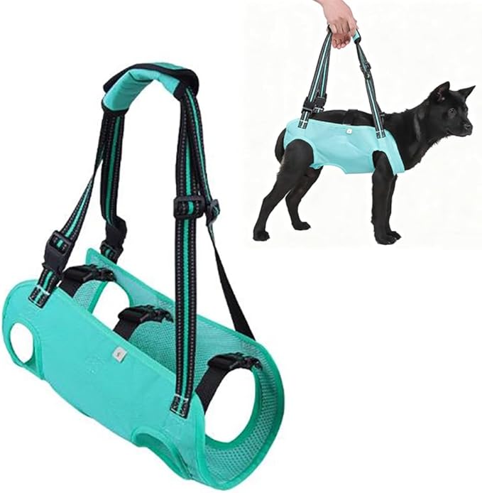 Senior Dog Mobility Harness - Full Body Lifting Sling with Adjustable Shoulder Straps and Breathable Mesh Lining for Hip Dysplasia and IVDD Recovery Support