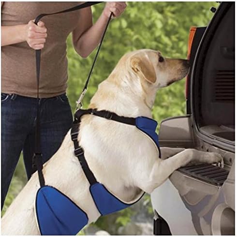Guardian Gear Nylon Lift and Lead 4-in-1 Dog Harness, Small, Blue