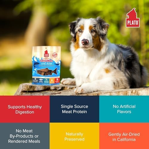 PLATO Pet Treats Real Strips - Air-Dried Meat Bars for Dogs - Delicious, Limited Ingredient Dog Treats - Grain Free Dog Treats - Original Real Strips Salmon 18oz - 2 Pack