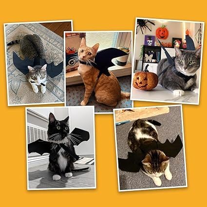 Cat Bat Wings Cat Bat Costume Cats Halloween Costumes Cute Bats Wings for Cats Kitten Halloween Costume Kitten Bats Wing Pet Halloweens Dress Up Accessories,Black S