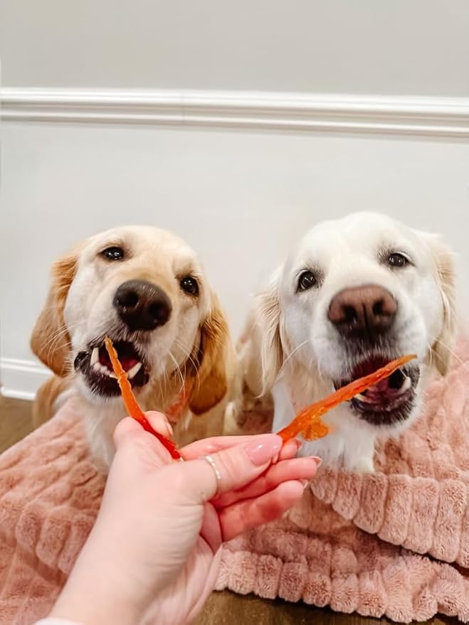 Rena's Recipe Chicken Fillet Slices Dog Treats – Soft High Protein Training Treats Made from Real Chicken Tender with Glucosamine & Chondroitin for Joint Support, 1 lb (4 oz x 4 Packs)