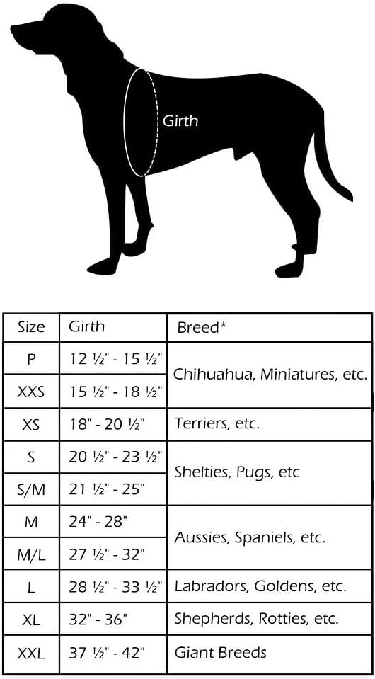 ComfortFlex Sport Dog Harness – No-Choke, Fully Padded, Non-Chafing Harness with Control Handle – Reflective, Lightweight, Adjustable for Active Dogs - Large, Purple