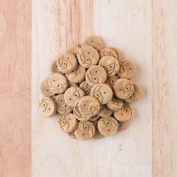 Earthborn Holistic EarthBites Crunchy Grain-Free Dog Treats with Salmon 10 oz