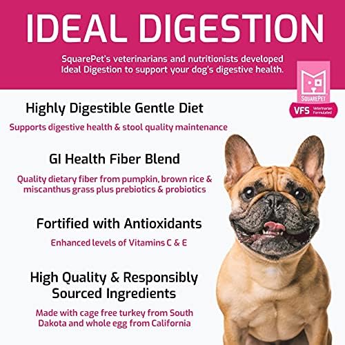 SquarePet VFS Canine Ideal Digestion Formula, Cage Free Turkey, Whole Eggs, Pumpkin, Brown Rice 22 lbs