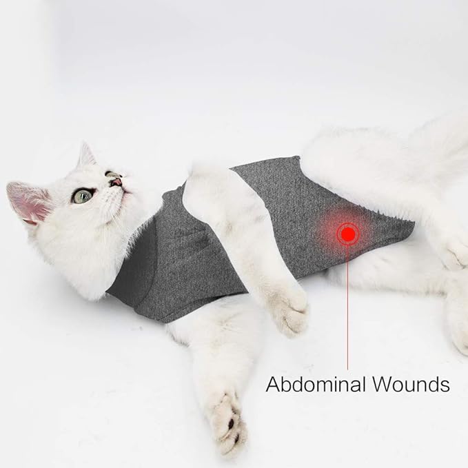 DOTON Cat Recovery Suit for Male and Female Surgical Post Surgery Soft Cone Onesie Shirt Clothes Neuter Licking Protective Diapers Outfit Cover Kitten Spay Collar(M, Grey)
